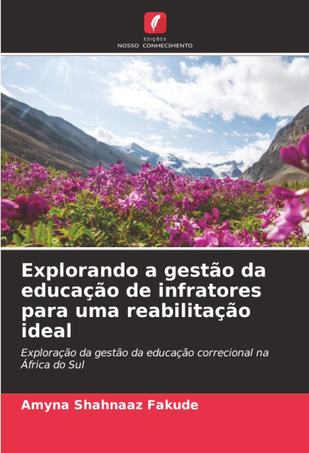 Explorando a gestão da educação de infratores para uma reabilitação ideal: Exploração da gestão da educação correcional na África do Sul