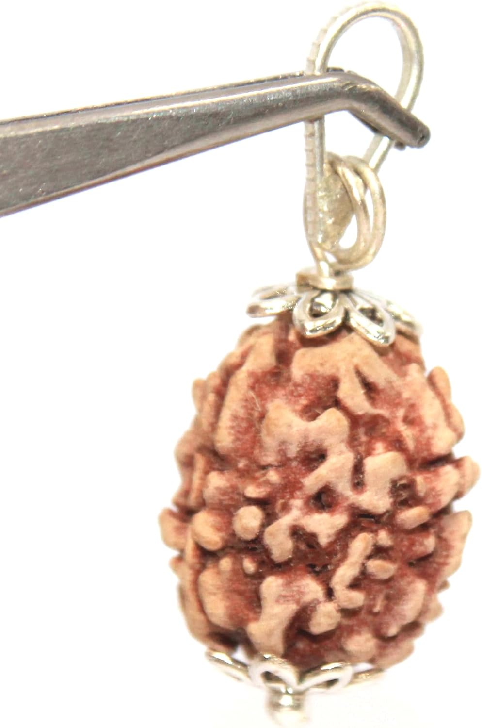 3 Mukhi/Faced Nepali Rudraksha Silver Pendant 100% Natural, Original & Certified Astrological Rudraksha Beads Unisex Both for Men & Women