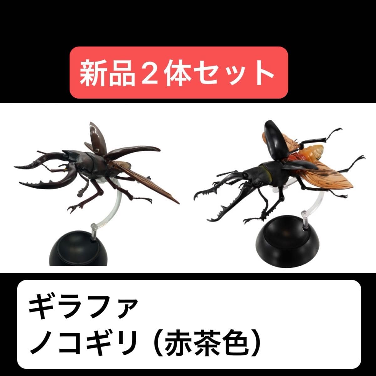Amazon.co.jp: セット ギラファノコギリクワガタ ノコギリクワガタ（赤