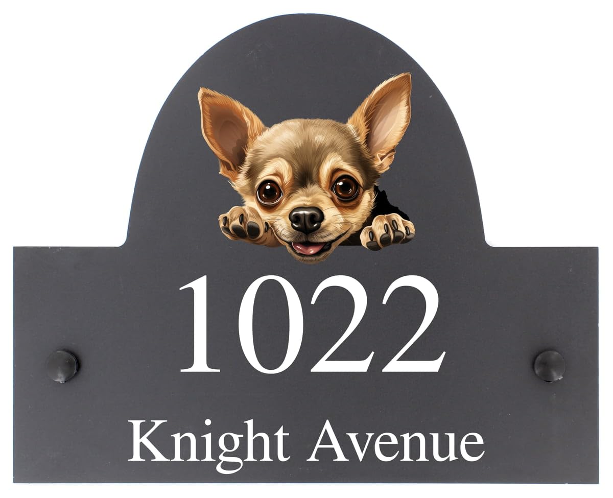 Targa personalizzabile con nome o numero civico in ardesia, motivo chihuahua, 25 x 20 cm