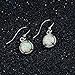 Daesar Pendientes Plata de Ley ArosRedondo Cristal Pendientes Plata
