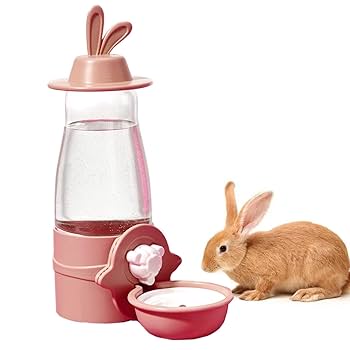 うさぎ。ページ Amazon.co.jp: うさぎと楽しく遊べる本 : 町田 修: 本