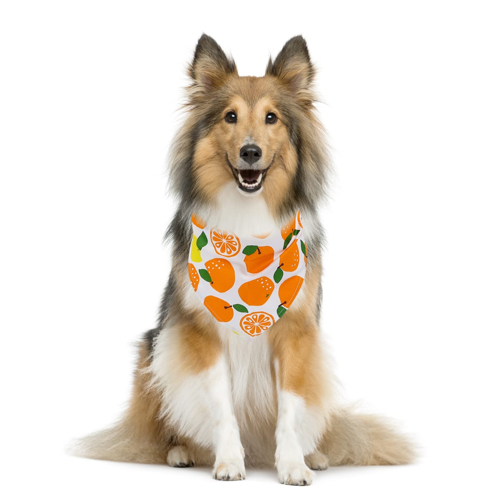 Supvox 15stücke Baumwoll-hundebandanas Mit Fruchtigem Muster Verstellbare Hundehalstücher Für Mittelgroße Hunde Und Katzen Accessoire Für Partys Und Aktivitäten Im Freien
