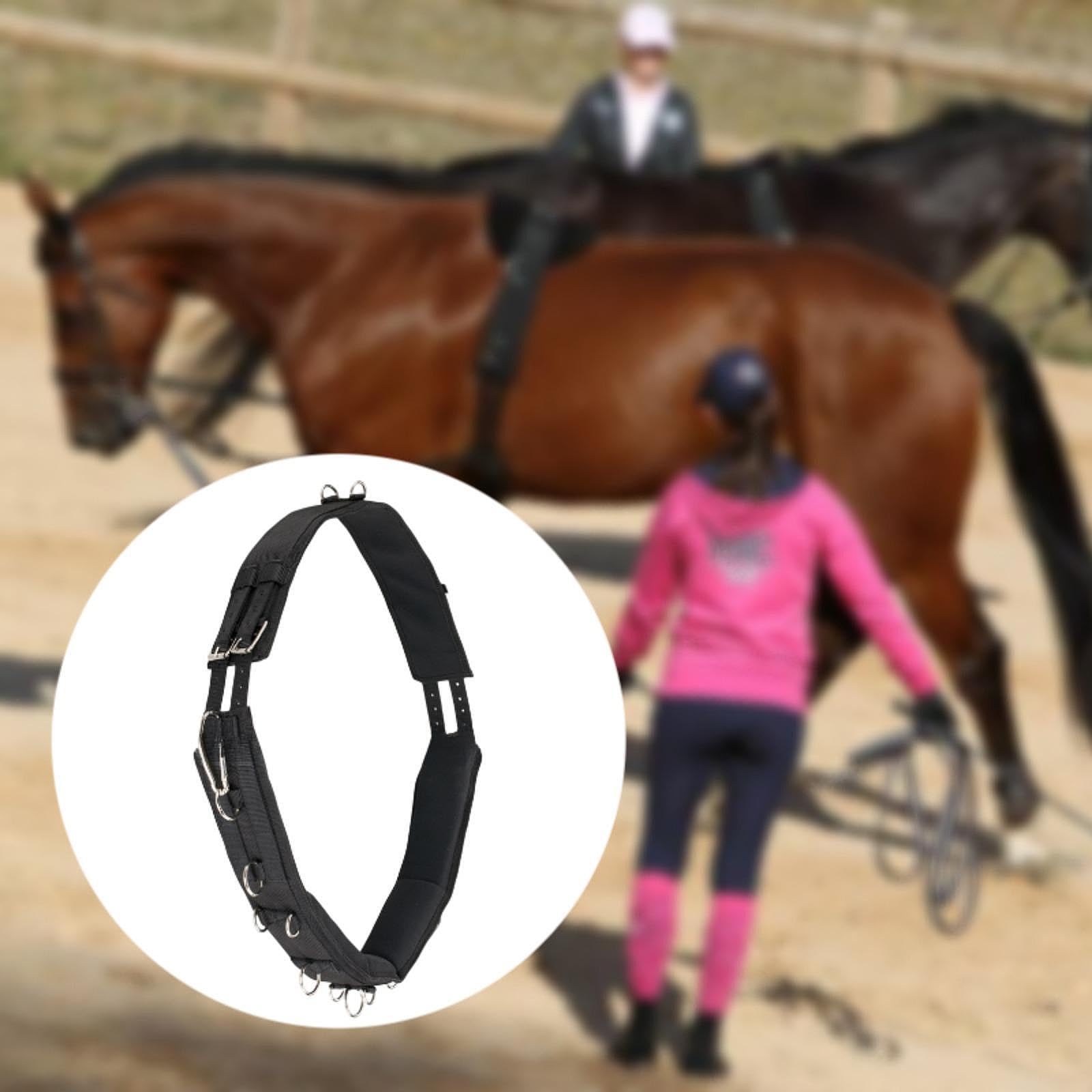 Fenteer Système de Formation Horse Supprocle pour Chevaux avec Matériel