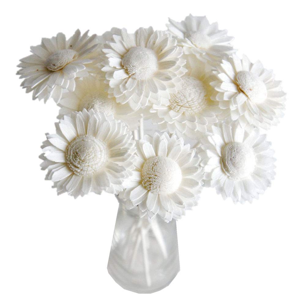 Plawanature Set of 10 White Daisy 2" Sola Flower with Reed Diffuser Stick for Home Fragrance.