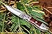DKC Knives (40 6/18) DKC-59 Dartmouth Damascus Folding Pocket Knife 4.5
