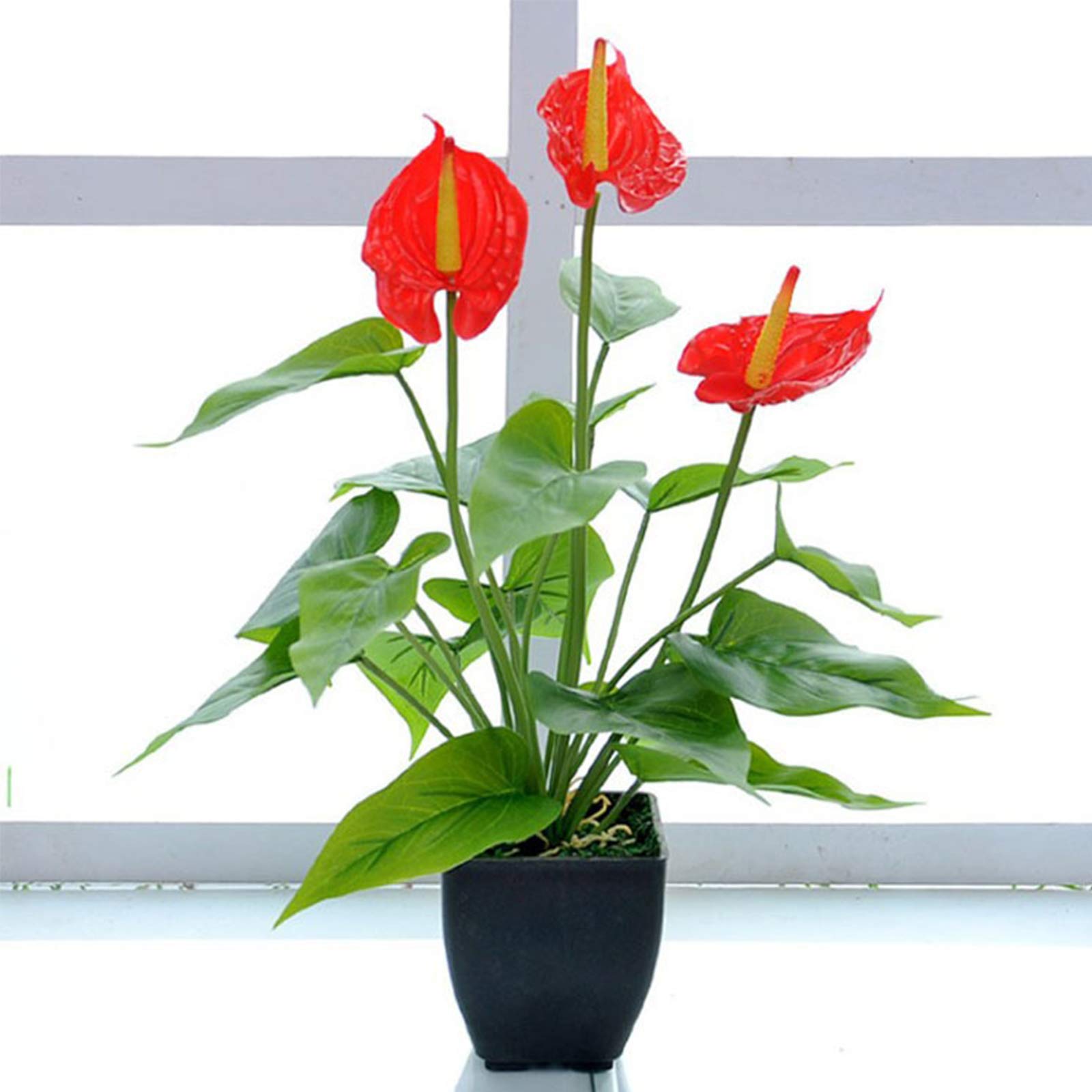 vintage hanging planter Vintage Hanging Planter  Dovetail