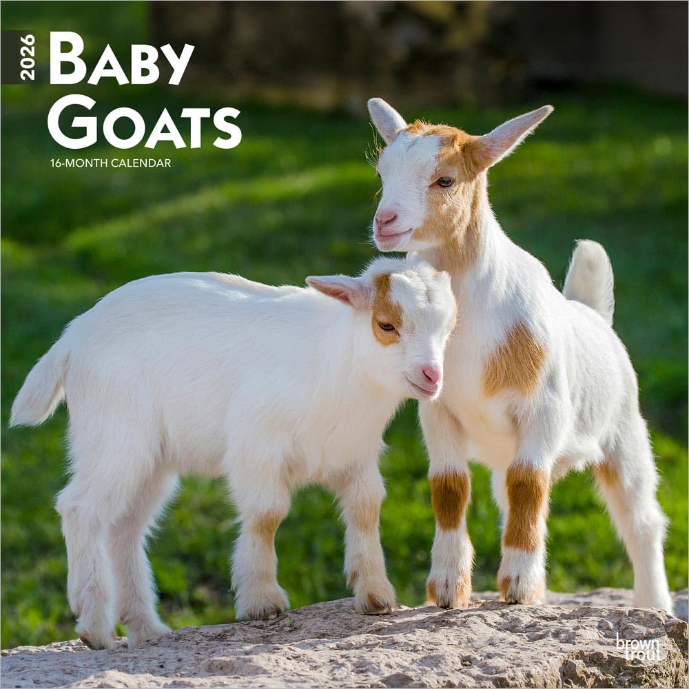 Baby Goats - Ziegenbabys 2026 - 16-Monatskalender: Original BrownTrout-Kalender [Mehrsprachig] [Kalender]