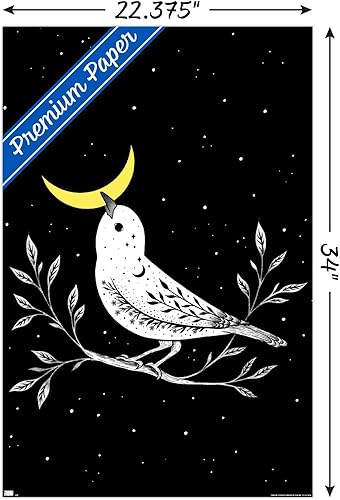 Miniatura 3 de Trends International Dibujo episódico - Póster de pared de pájaro lunar