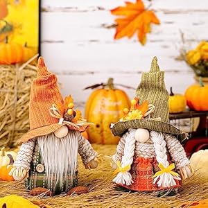 Ochine 2 Pcs Fall Decor Autumn Harvest Gnomes Plush Ornaments Gifts Handmade Swedish Tomte Gnome Doll for Home Holiday Decorations Ochine 2 Pcs Fall Decor Autumn Harvest Gnomes Plush Ornaments Gifts Handmade Swedish Tomte Gnome Doll for Home Holiday Decorations