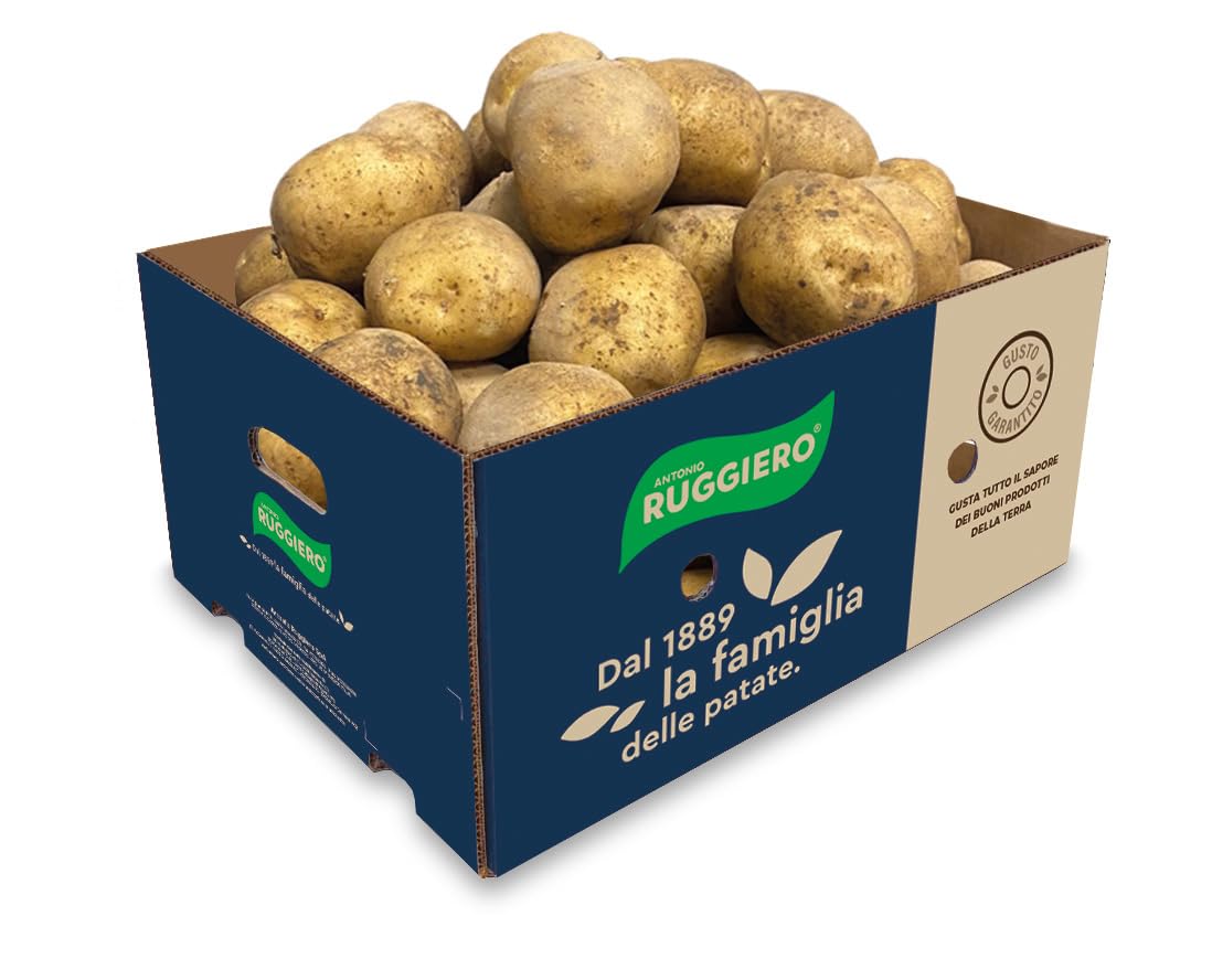 Patate RUGGIERO PER FRITTURE 2x20 KG