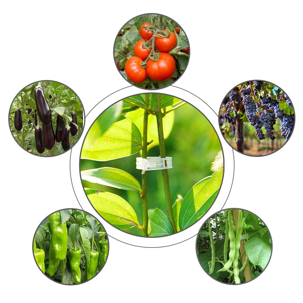 Lot De 200 Clips De Support Pour Plantes De Jardin Pour Tomates