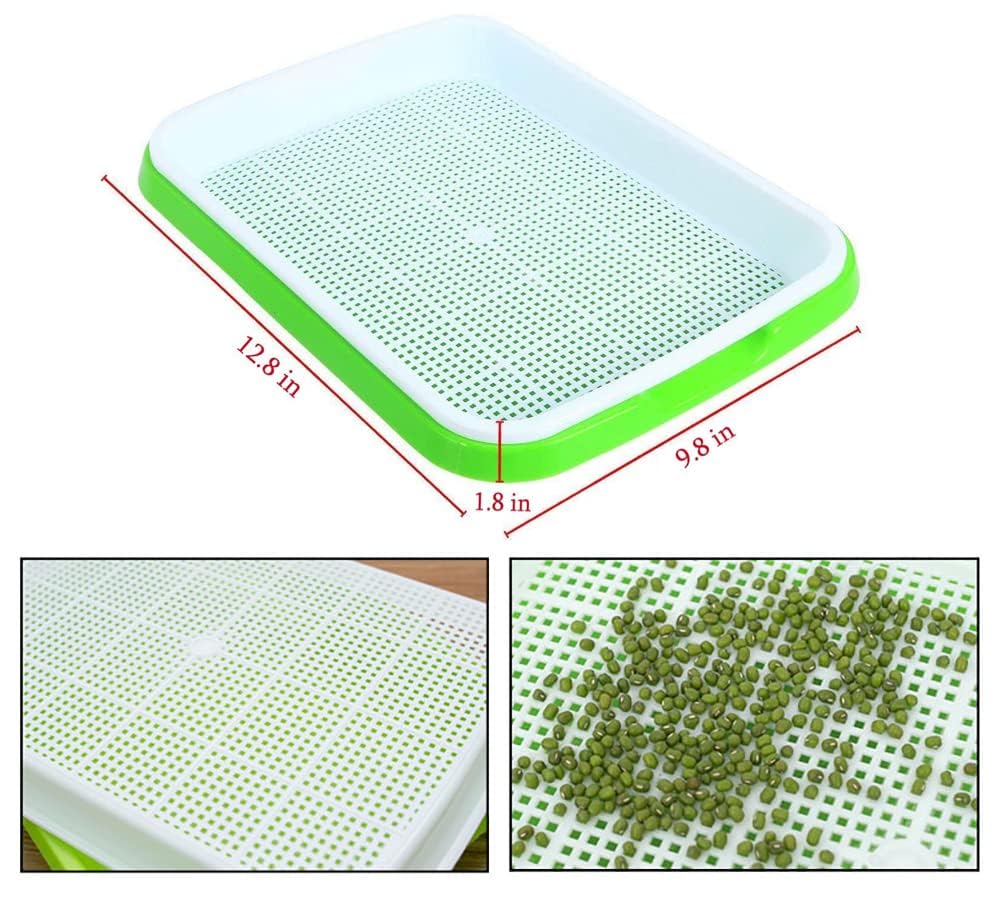 Confezione da 5 vassoi per germogliare i semi, senza BPA, vassoio per la germinazione dei semi di erba di grano sani, per giardino, casa, ufficio, in polipropilene (PP), verde, grigio
