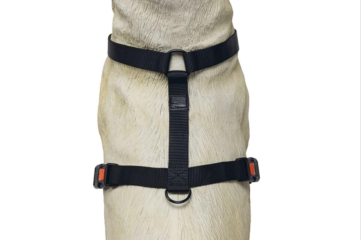 Karlie Art Sportiv Plus Hundegeschirr Mix And Match – Verstellbar, Mit Sicherheitsschnalle, Für Brustumfang 45-70 Cm