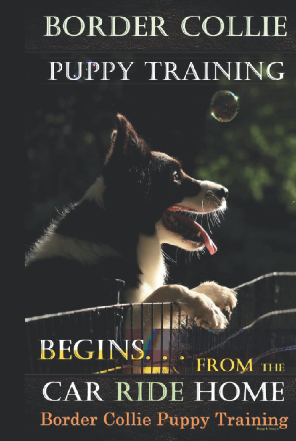 Border Collie Puppy Training Begins. . . From the Car Ride Home: Border Collie Puppy Training