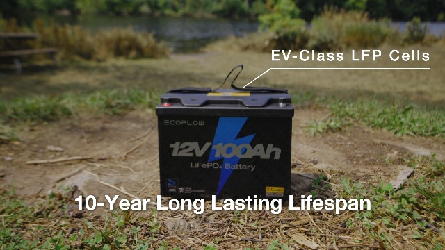 Amazon.com: EF ECOFLOW: 12v 100ah battery