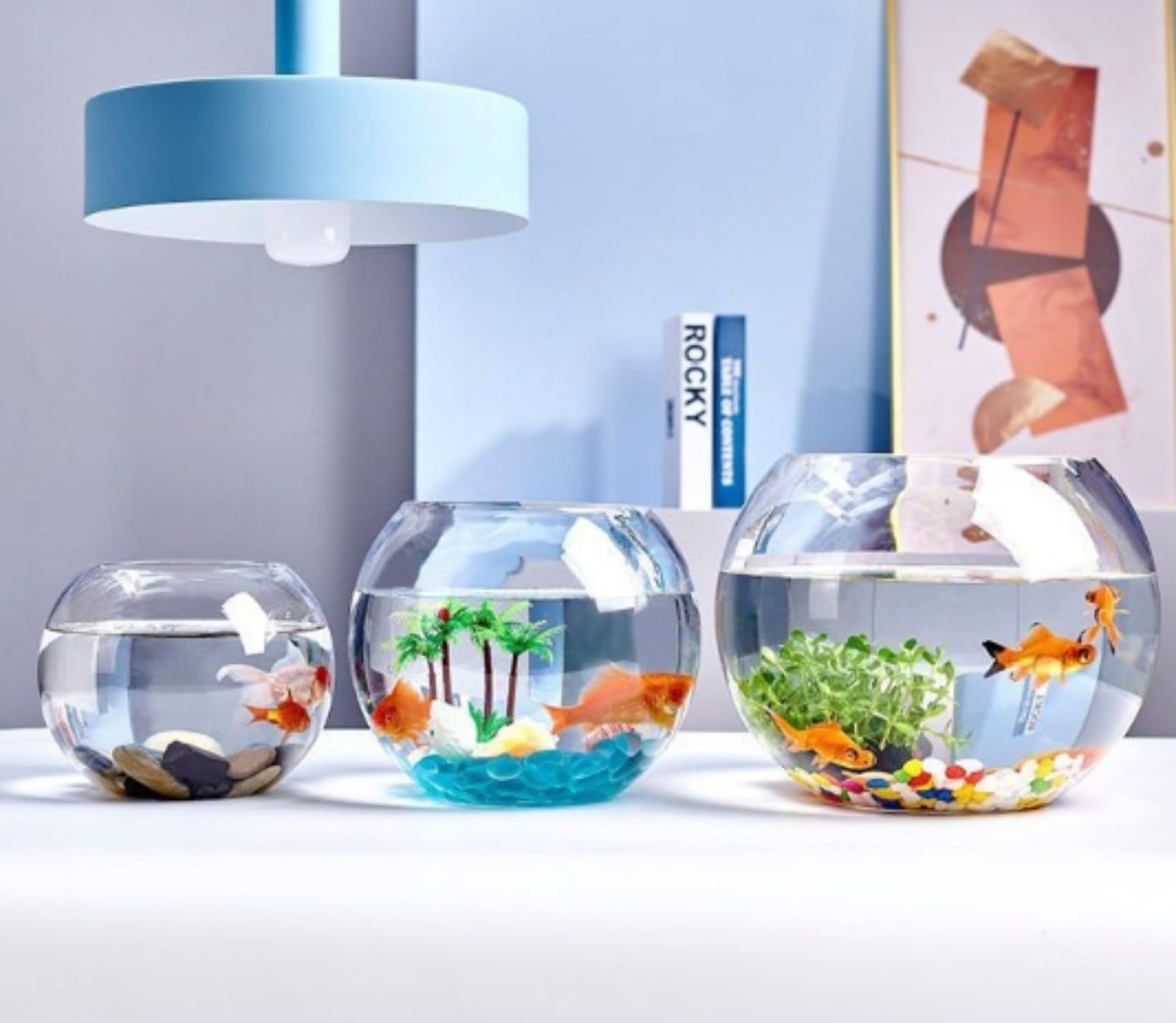 Amazon | オフィス 小型水槽 透明ガラス カメ リビング 丸型水槽 小型