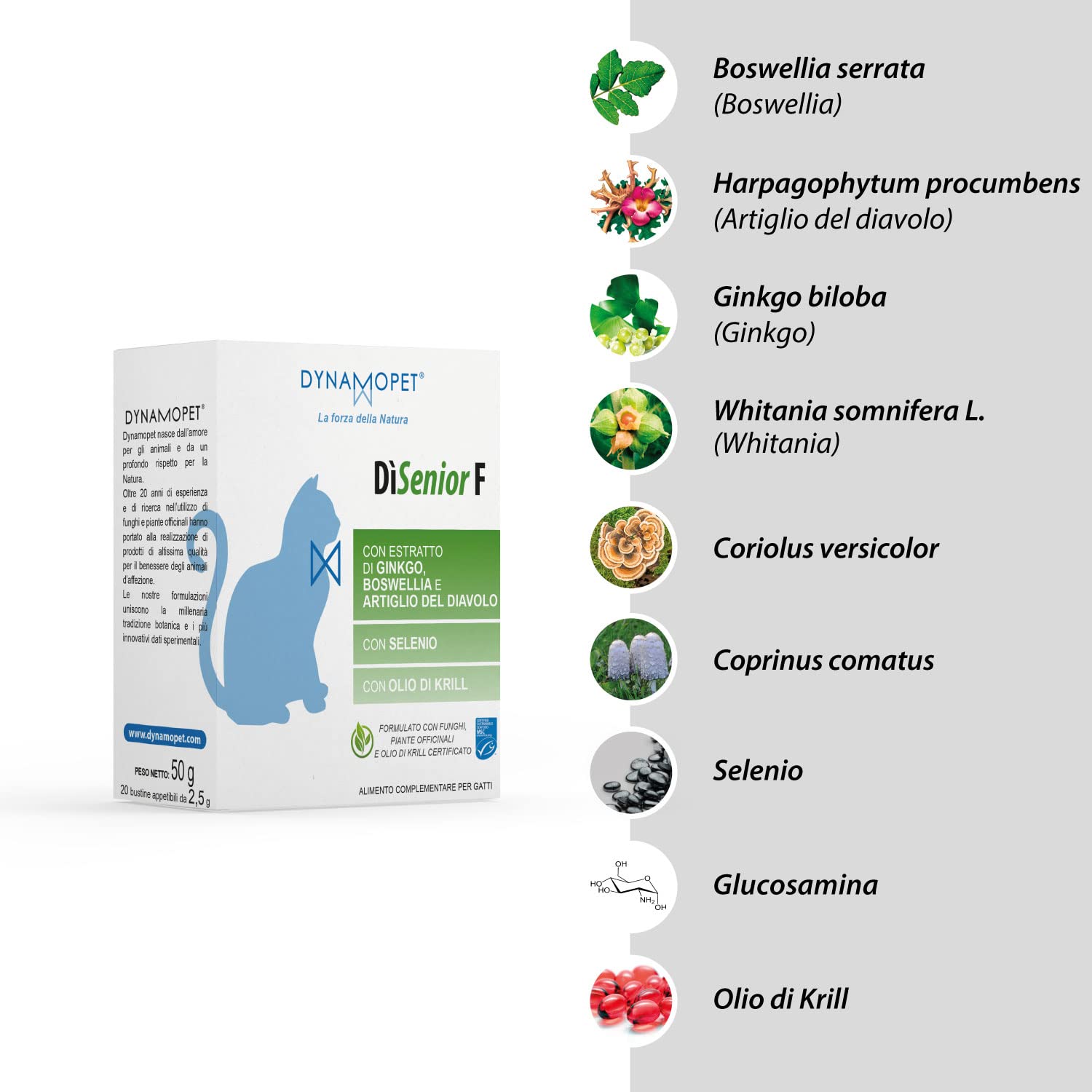 DìSenior F - Alimento Complementare per Gatti Anziani, Confezione 20 Stick da 2,5 g - uno Stickogni 5 kg di Peso dell'Animale