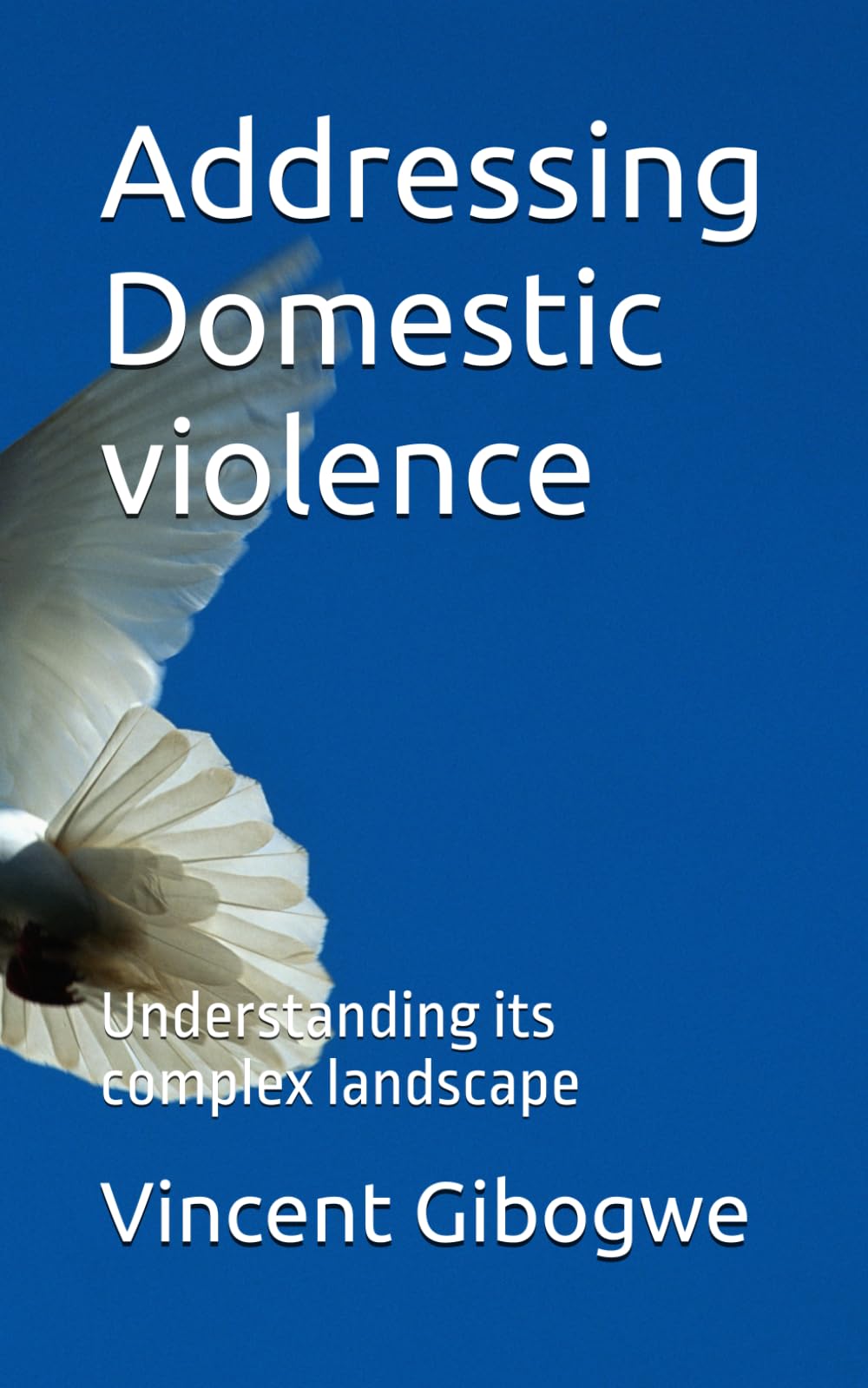 Addressing Domestic violence: Understanding its complex landscape