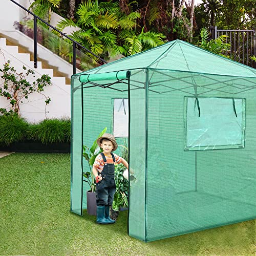 Pexfix 6'X 5' Portable Walk-In Greenhouse Easy Setup,Indoor Outdoor Greenhouse Garden Green Houses Instant Pop-Up Greenhouse,2 Roll-Up Mesh Windows And Roll-Up Zipper Door,Green #TOP7