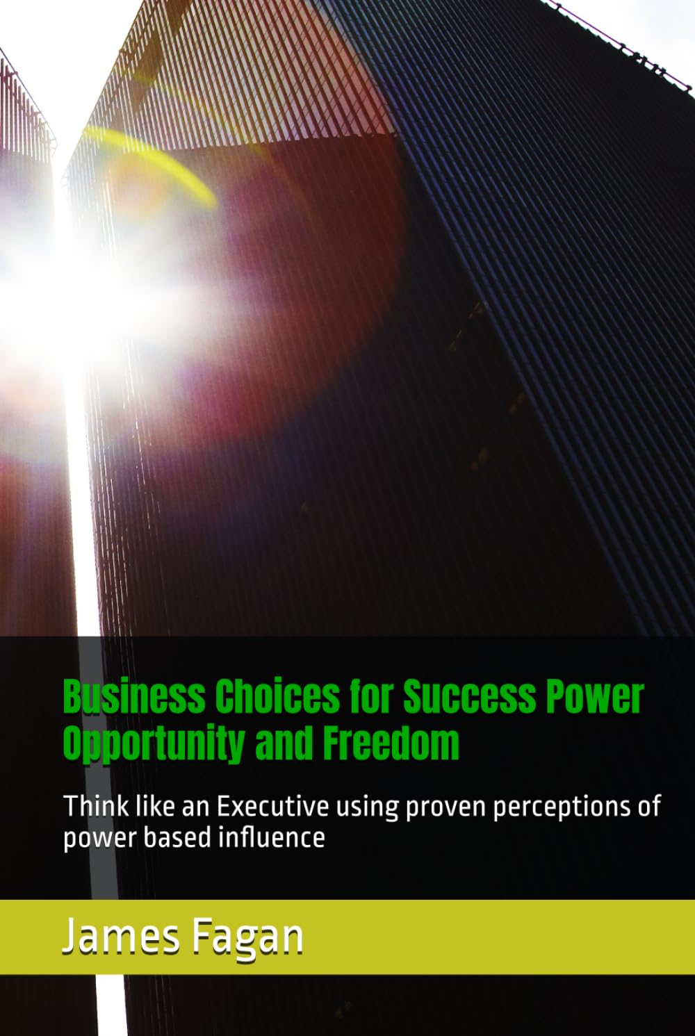 Business Choices for Success Power Opportunity and Freedom: Think like an Executive using proven perceptions of power based influence
