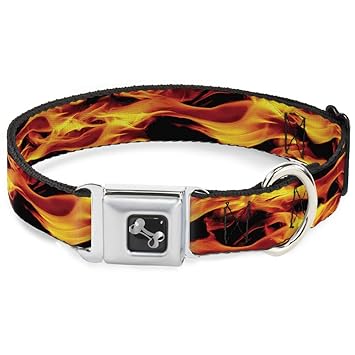 Buckle Down Flames Vivid Black/Orange Dog Collar Bone, Wide Large/18-32