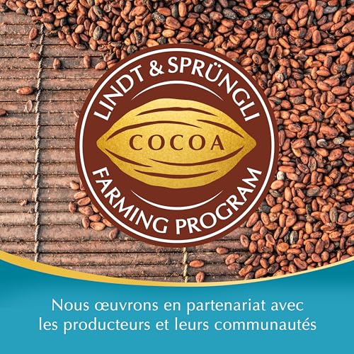 Tablette De Lait Lindor Caramel Pointe De Sel Lindt La Tablette De - vue 10