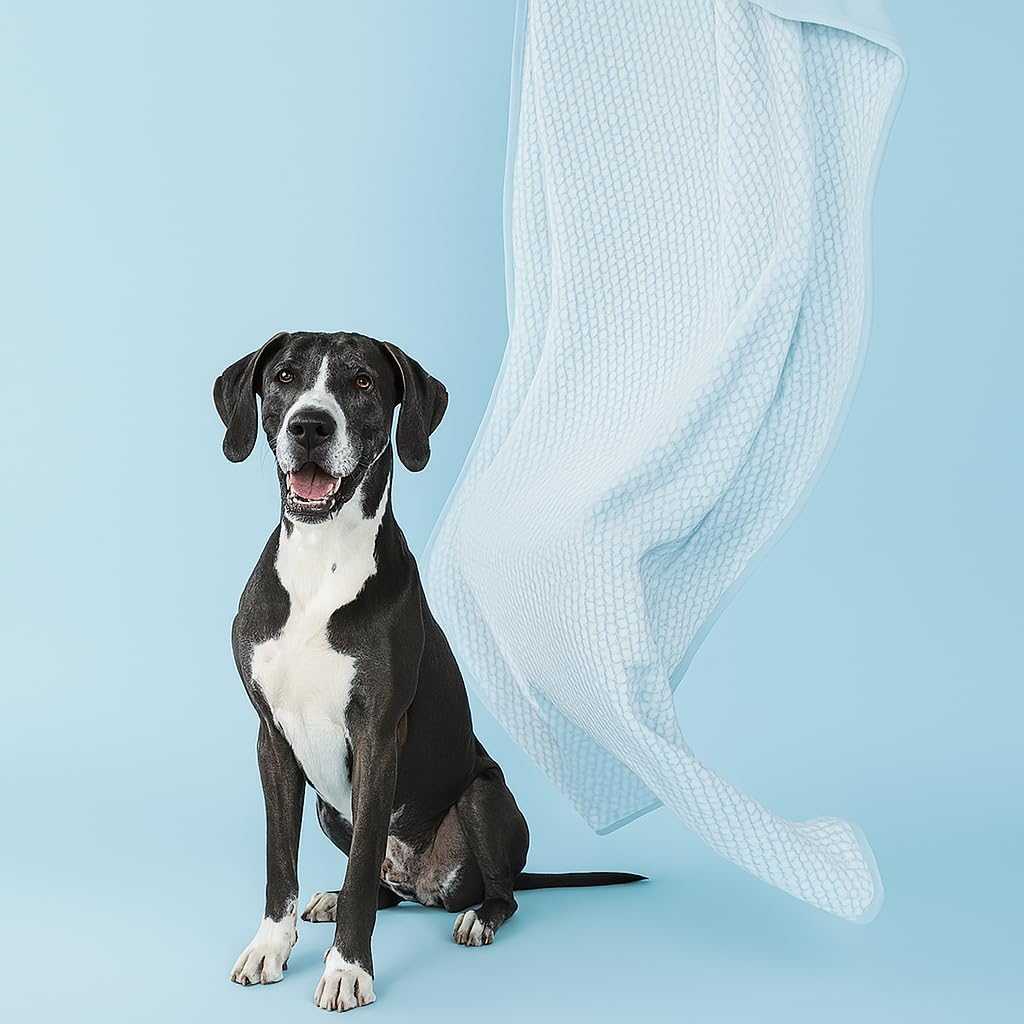 Woofry Double-Sided Pet Cooling Blanket, QMAX>0.5 Pet Throw Blanket, Scratch & Chew Resistant Dog Cooling Mat, Lightweight Breathable Furniture Protector Bed Couch, Machine Washable, 60''*80''