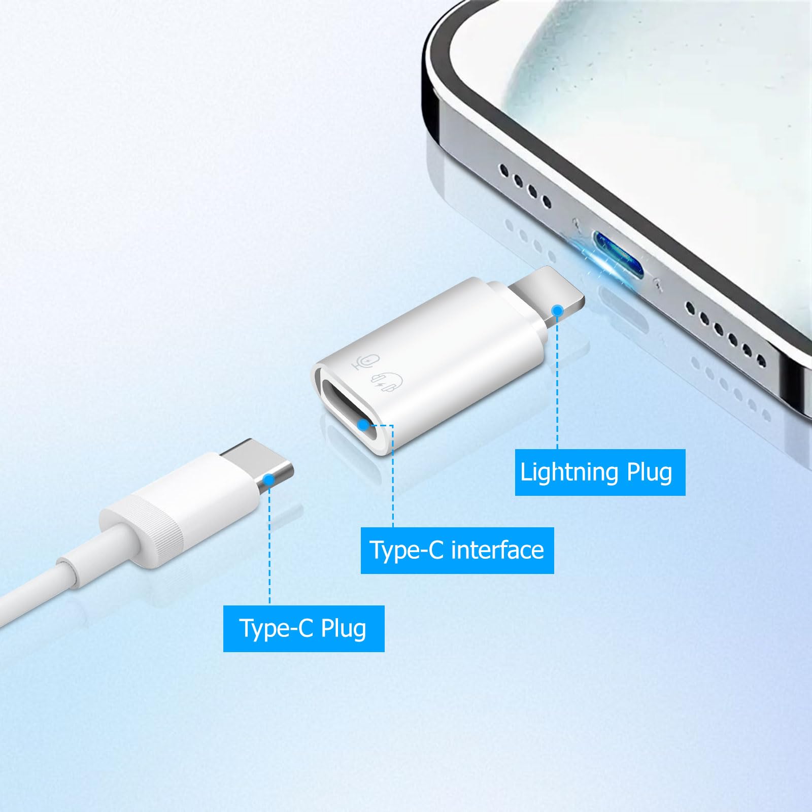 Puiseno Lot De 2 Adaptateurs Lightning Mâle Vers USB C Avec