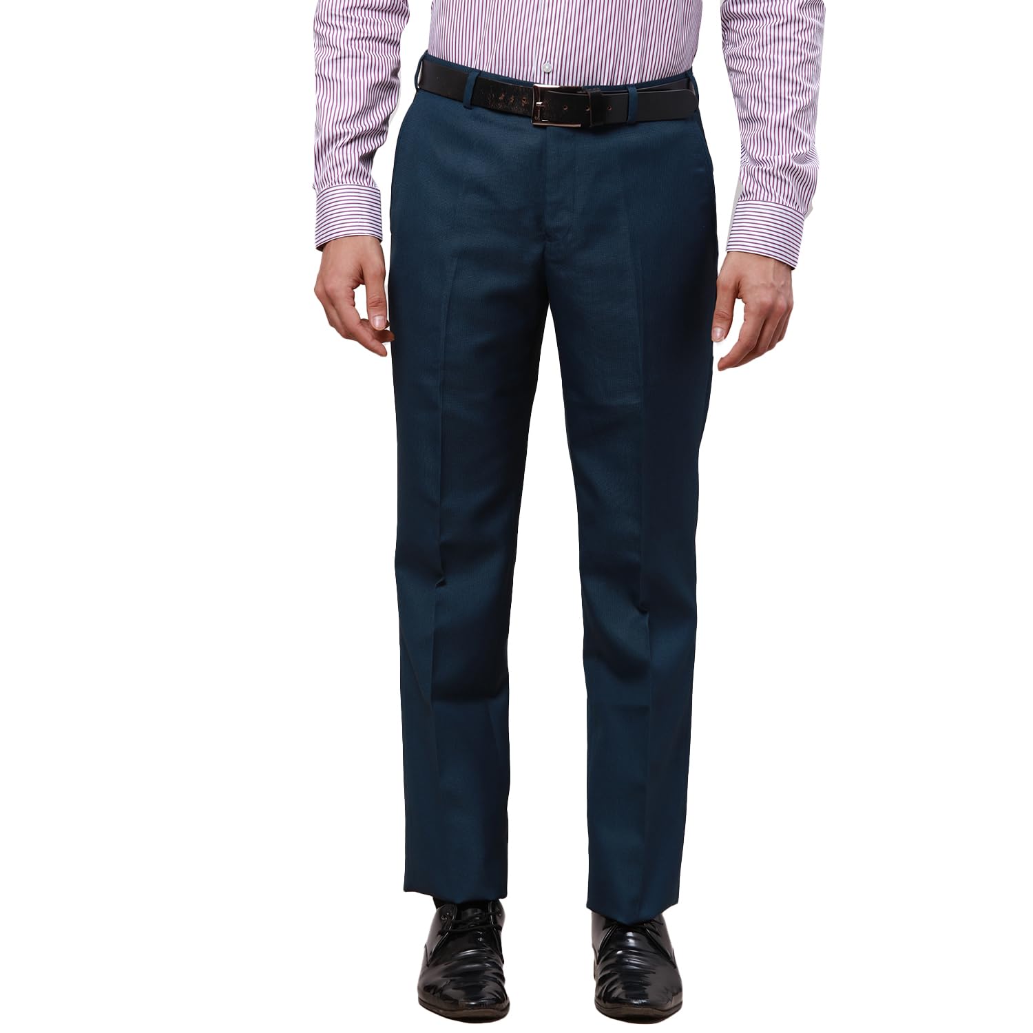 park avenue Men Regular Fit Pants-picture-30