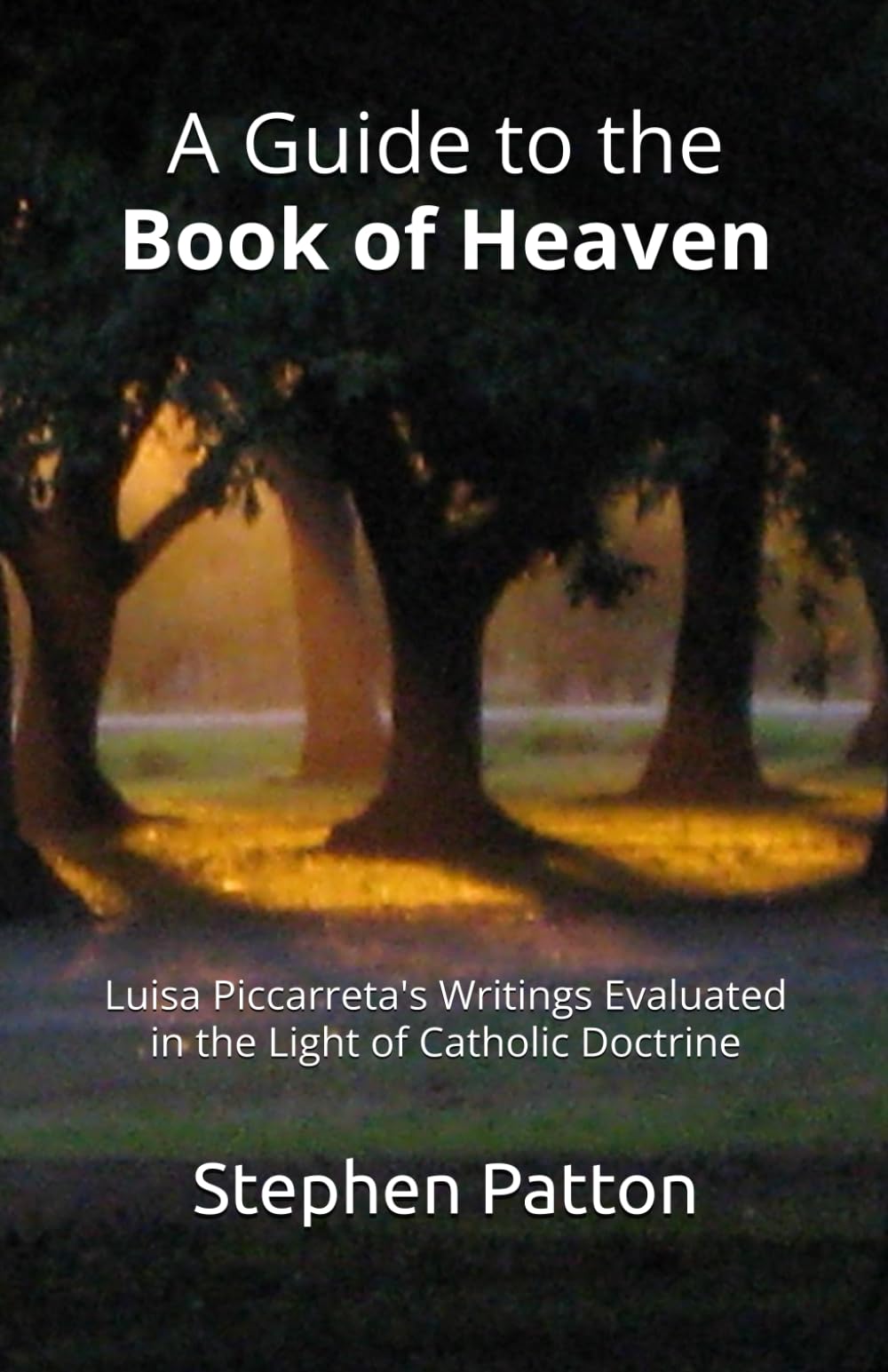 A Guide to the Book of Heaven: Luisa Piccarreta's Writings Evaluated in the Light of Catholic Doctrine