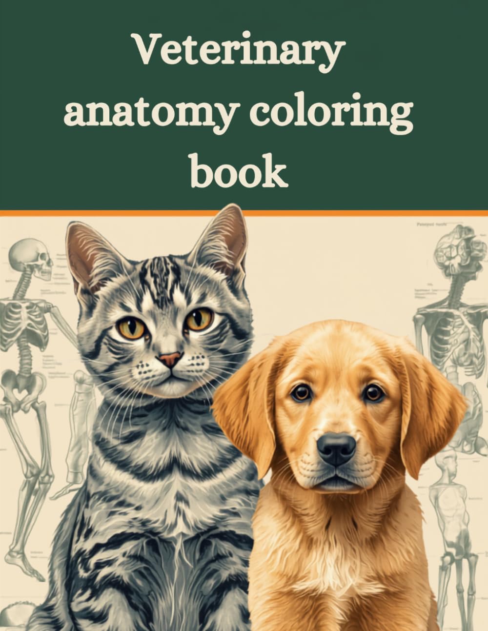 Veterinary Anatomy Coloring Book: An Easy and Engaging Way to Learn Animal Anatomy Step by Step