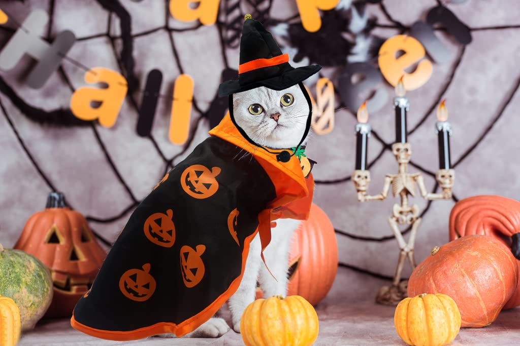 Halloween Haustier Umhang Mit Hexenhut - Kürbis Design Für Hunde & Katzen