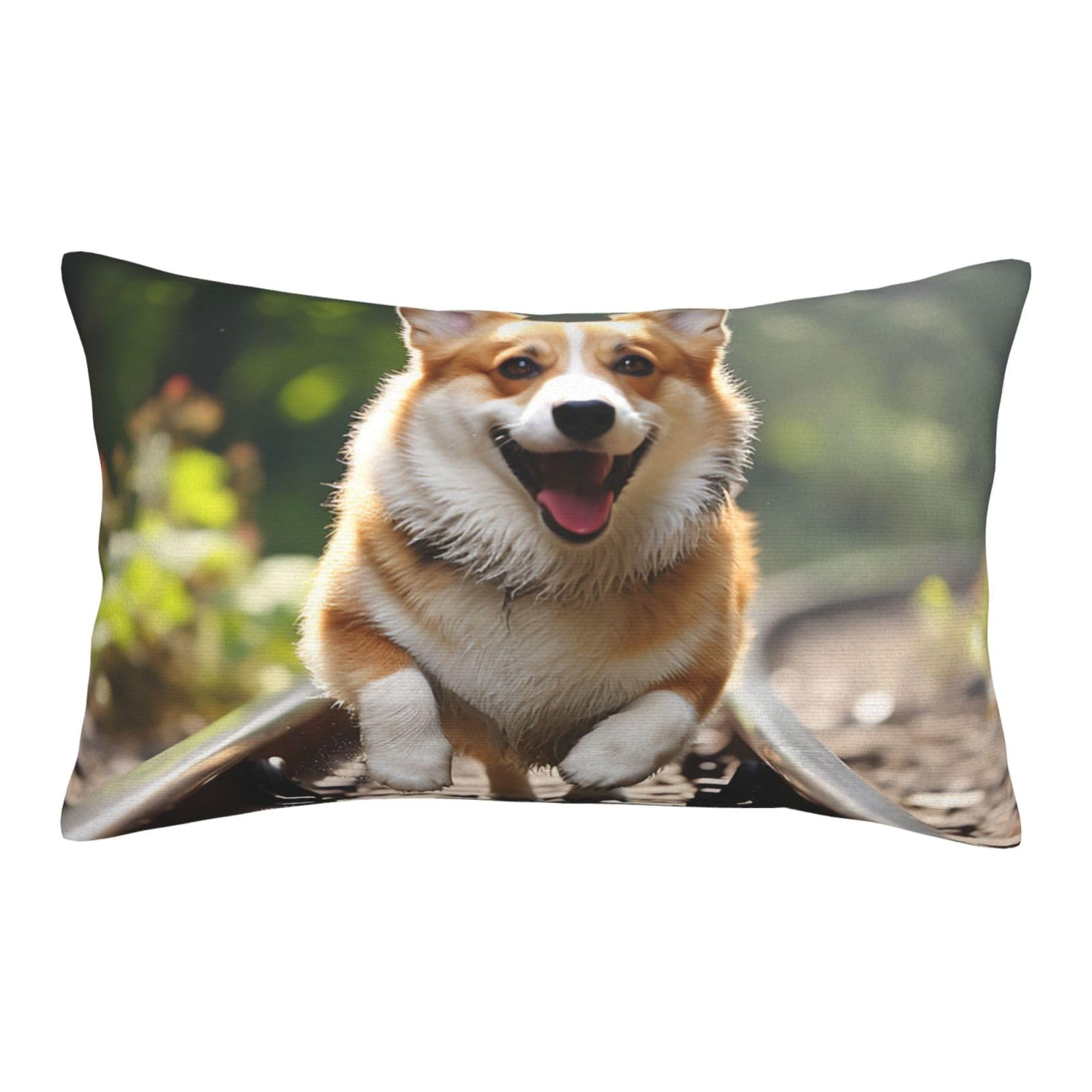 Velvet Pillowcases 16"x24" Ultra Soft Breathable Pillow Cases, Luxury Fuzzy Throw Pillow Covers with Zipper, Corgi Dog Running on The Railroad Pillow Shams Decorative Cushion Cases for Couch