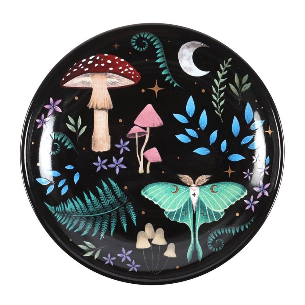 Something Different Wholesale Nocturnal Landscape Trinket Dish: Beautiful Flora and Fauna Design - Colorful Dish for Storing Trinkets - Celestial Touch Trinket Dish
