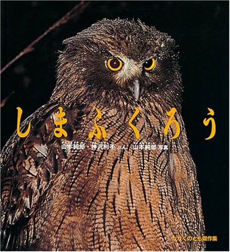 しまふくろう (かがくのとも傑作集 どきどきしぜん) | 神沢 利子, 山本