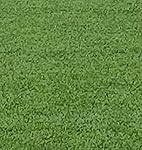 Review Image by DocMartin DocMartin