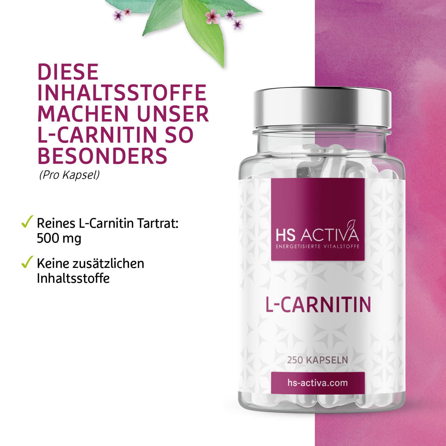 HS Activa L-Carnitin 250 Kapseln, 500mg L-Carnitin Tartrat pro Kapsel