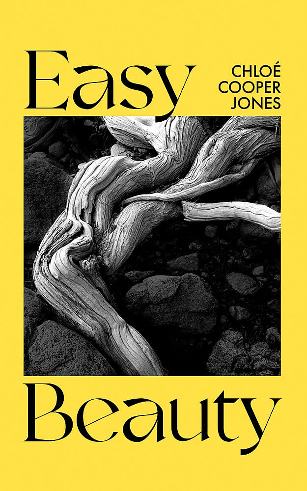 Easy Beauty On Seeing and Being Seen by Chloe Cooper Jones (Hardback Book)