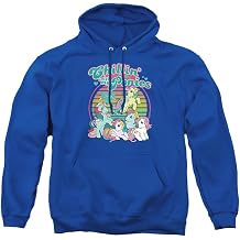 My Little Pony Retro Chillin With My Ponies Unisex Adult Pull-Over Hoodie