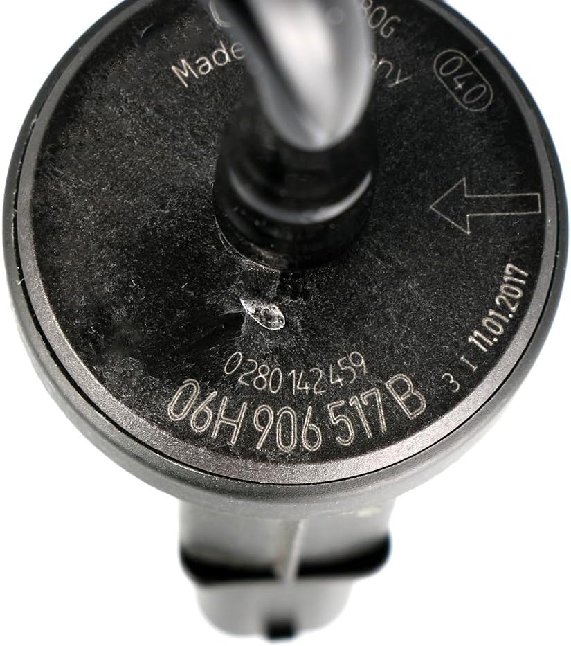 06H906517B Filter Purification Control Solenoid Valve Kit For VW Passat Golf Jetta 1.8