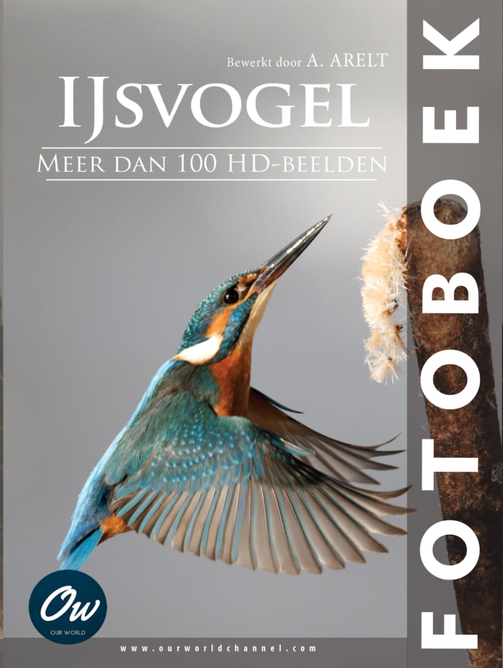 IJsvogel album photo martin-pêcheur pour décorer votre salon