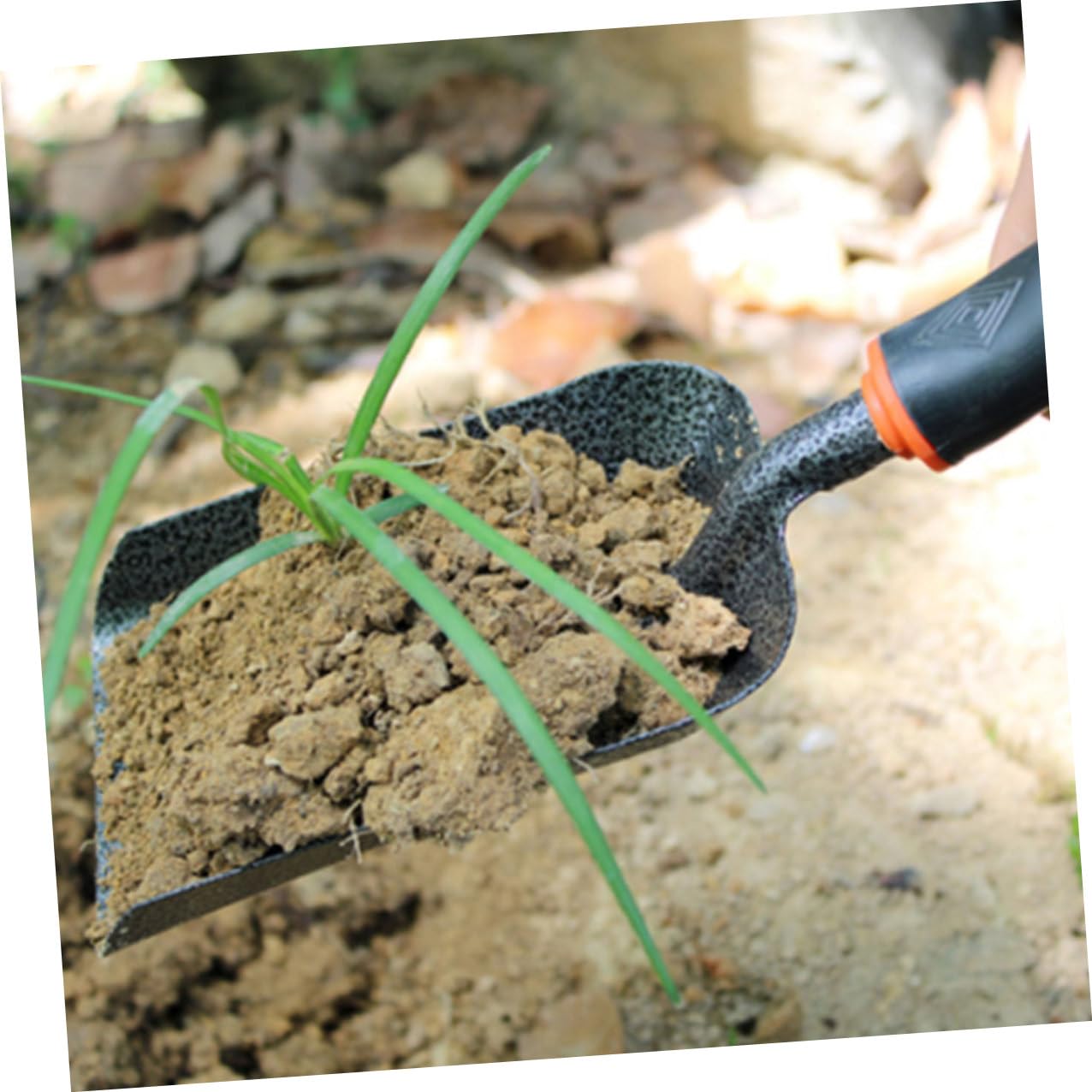 2 Stück Eisen Gartenkellen zum Auflockern und Düngen, Schwarz