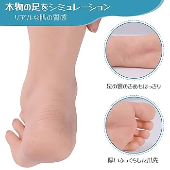 インテリア模型 足 両足タイプ（美術デッサン用/ネイル練習用） インテリア模型 足 両足タイプ（美術デッサン用/ネイル練習用）