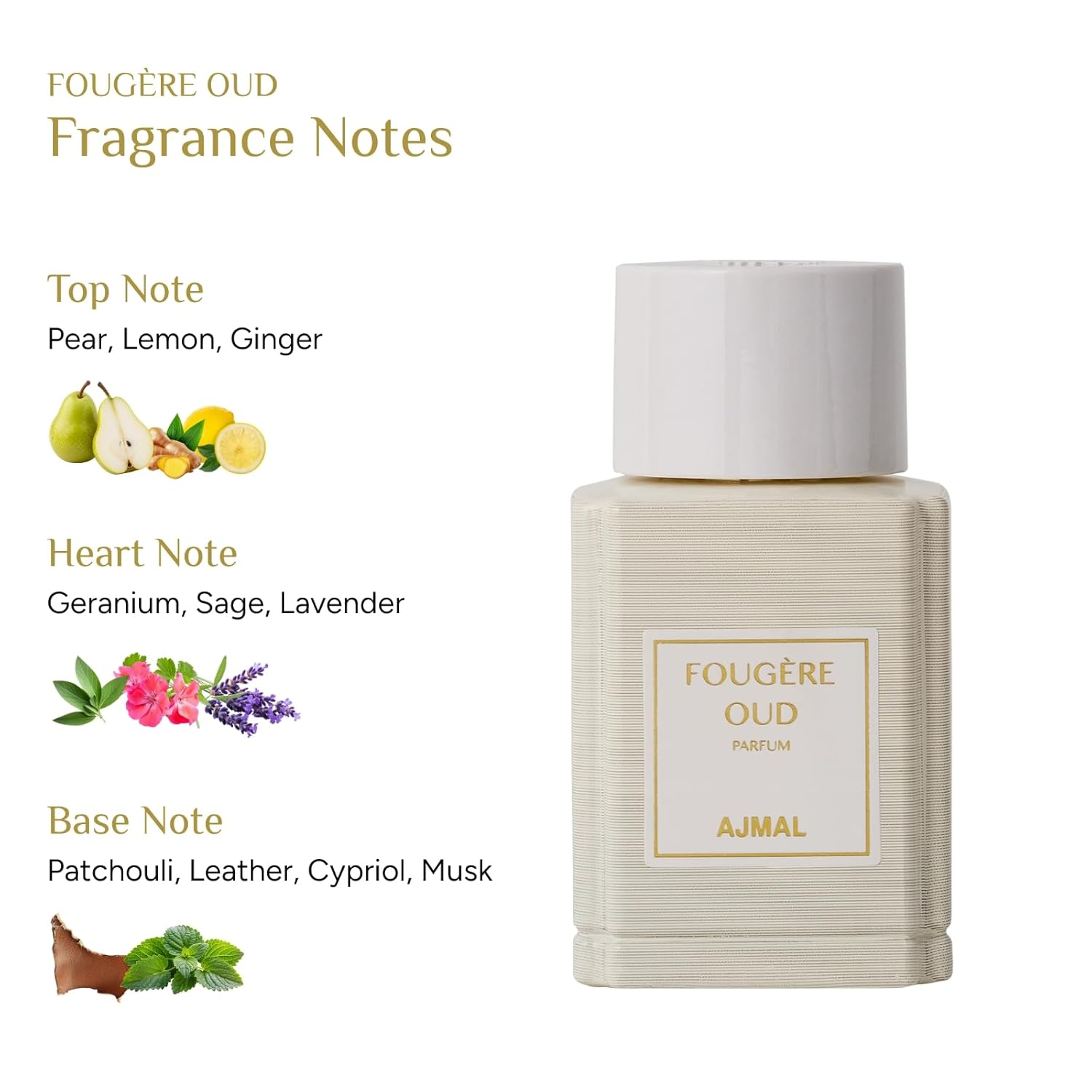 Ajmal Fougère Oud Eau de Parfum for Men – 3.4 fl oz Oud Marquis Luxury Perfume Premium Woody Aromatic | Long Lasting French Fragrance | Made in France & Crafted in Dubai | Exclusive for USA - Image 3