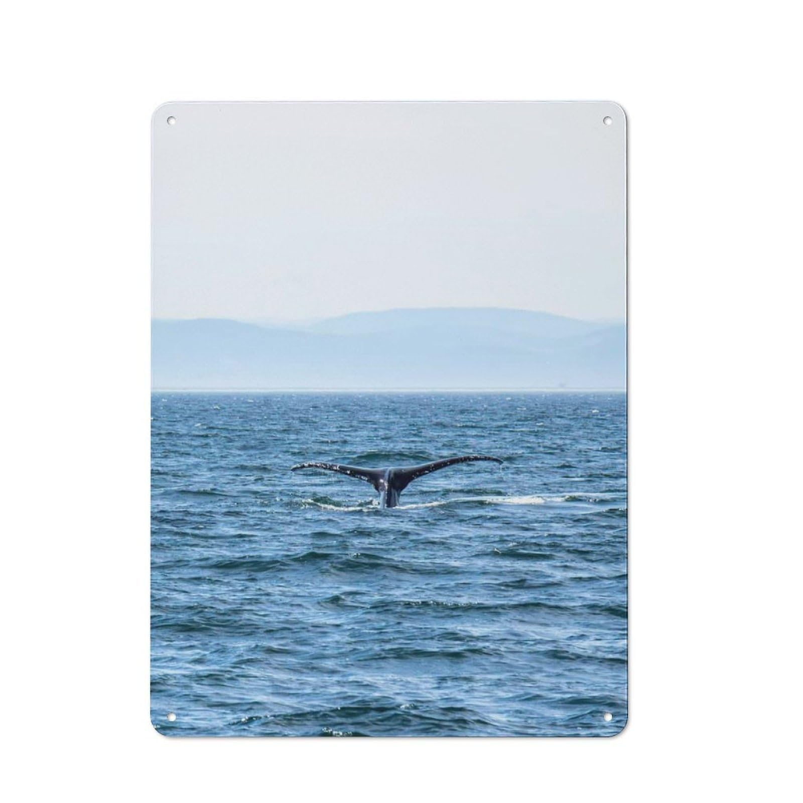 Creative Whale Tail Office Metal Sign 40x30cm, Office Wall Decor for Hobby Room, Office, Lounge Or Living Room
