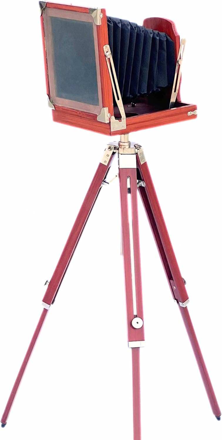 https://m.media-amazon.com/images/I/61Cogenm-RL._AC_SL1500_.jpg