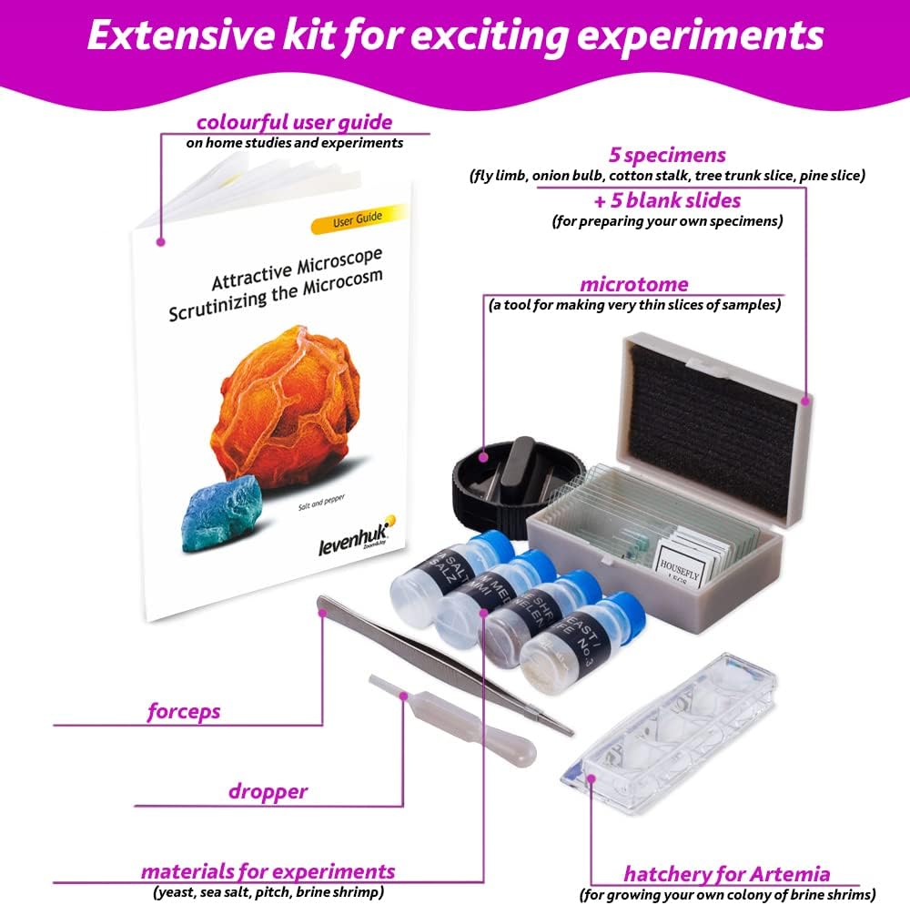 Levenhuk LabZZ M101 Amethyst 640x Portable Educational Kids Microscope Science Kit with LED Light, STEM Toys Accessory Set, Blank & Prepared Sample Slides, Beginner Experiment Guide for Children (ES)
