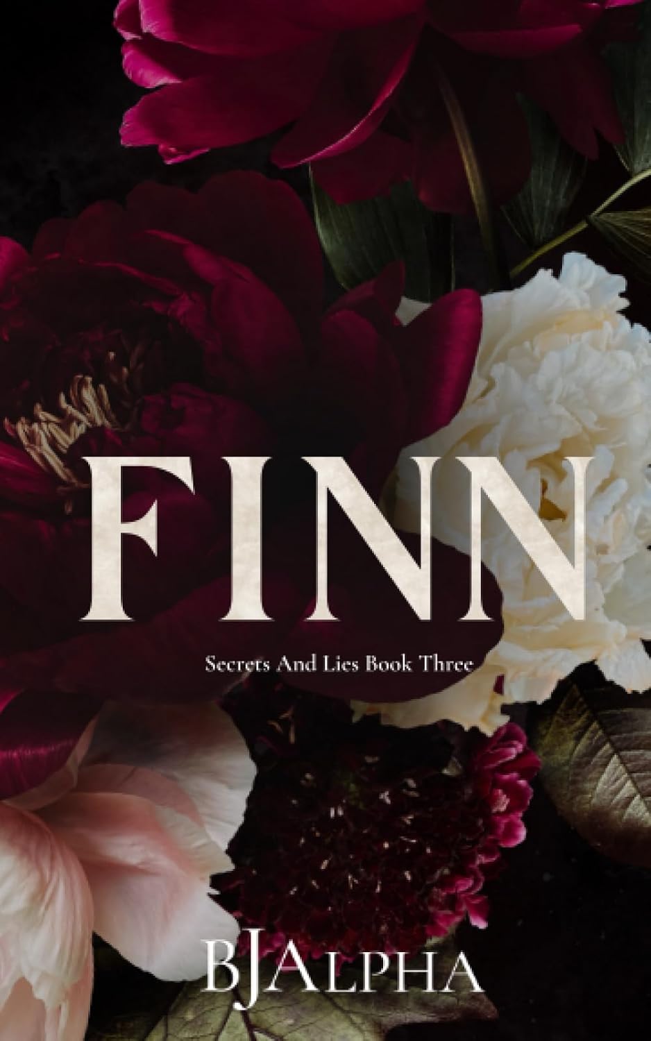 Independently published FINN Discreet Cover: Secrets and Lies Discreet Covers Book 3