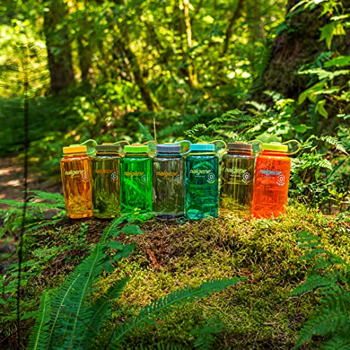 Image of Nalgene 32 oz Wide Mouth Water Bottle | BPA-Free, Durable & Leak Proof, Lightweight Bottle for Hiking & Gym, Work & Travel, Aubergine (Pack of 6)